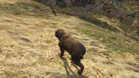 Comment devenir un Rottweiler dans GTA 5.