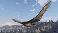 In GTA 5 kann man wiederum in ein Falke!