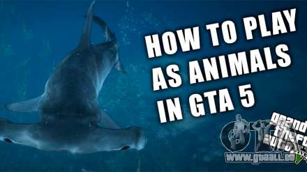 Comment faire pour se transformer en un animal dans GTA 5? Devenir l'animal est très simple!