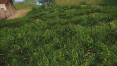 New grass für GTA San Andreas