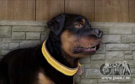 Rottweiler from GTA 5 pour GTA San Andreas