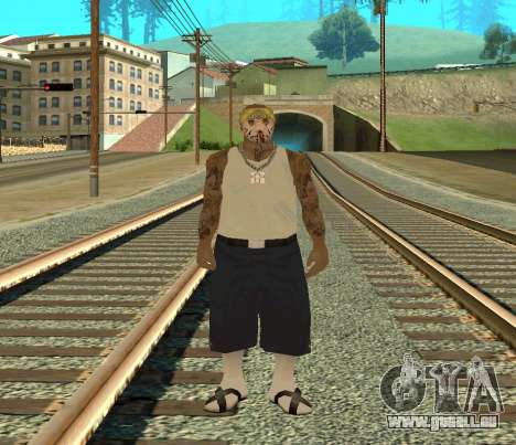 Vagos Skin Pack pour GTA San Andreas