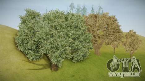 GTA 4 Vegetation pour GTA San Andreas