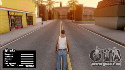 Date in Stats Menu pour GTA San Andreas