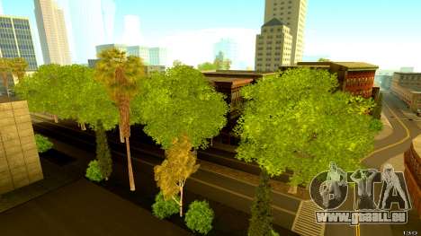 Schöne Vegetation für GTA San Andreas