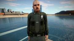 Sfpd1 für GTA San Andreas