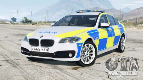 BMW 530d (F10) 2013 〡British Police