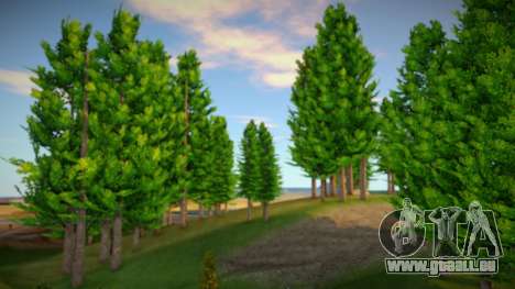 Vegetation (Mania Paradise Project) pour GTA San Andreas