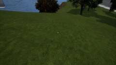 Grass Remove (enlève l’herbe pour augmenter le FPS) pour GTA 3 Definitive Edition