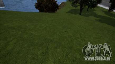 Grass Remove (enlève l’herbe pour augmenter le FPS) pour GTA 3 Definitive Edition