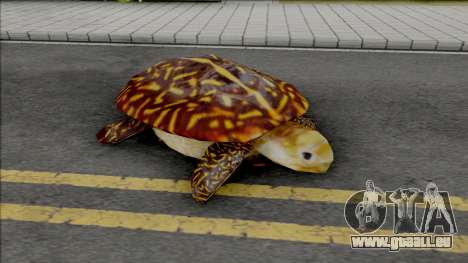 The Phenominal Turtle-Kart pour GTA San Andreas
