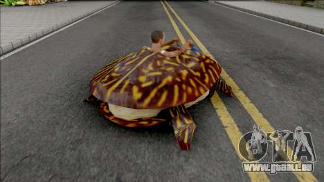 The Phenominal Turtle-Kart pour GTA San Andreas