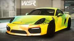 Porsche Cayman RT S5 für GTA 4