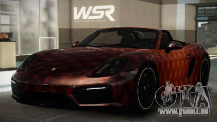 Porsche Boxster XR S10 für GTA 4