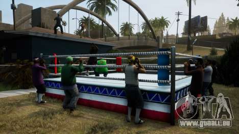 Realistic Boxing Tournament Of Grove Street