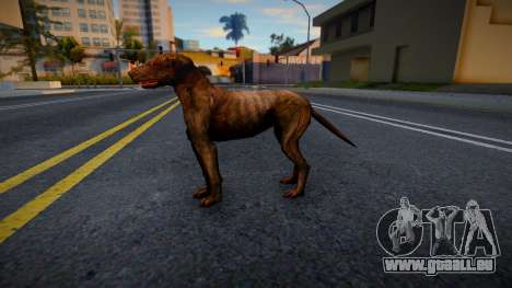 Der Hund von S.T.A.L.K.E.R. für GTA San Andreas