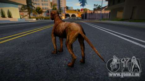 Der Hund von S.T.A.L.K.E.R. für GTA San Andreas