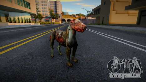 Hund von S.T.A.L.K.E.R. v3 für GTA San Andreas