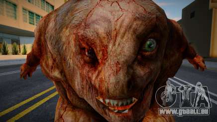 Pseudo-géant de S.T.A.L.K.E.R. pour GTA San Andreas