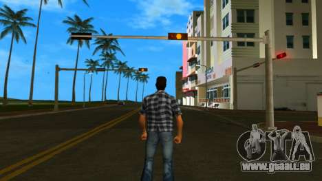 Alan Wake pour GTA Vice City