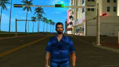 Project NT für GTA Vice City