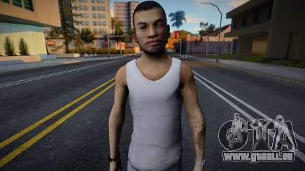Skin from Sleeping Dogs v13 für GTA San Andreas
