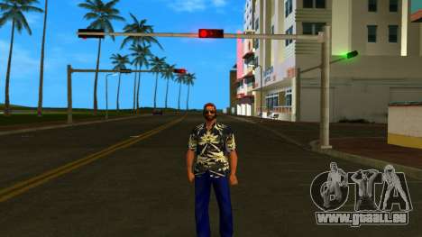 HD Pgb für GTA Vice City