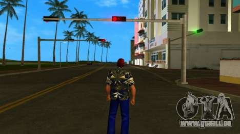 HD Pgb für GTA Vice City