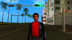 HD Hmyst für GTA Vice City