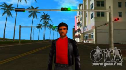 HD Hmyst für GTA Vice City