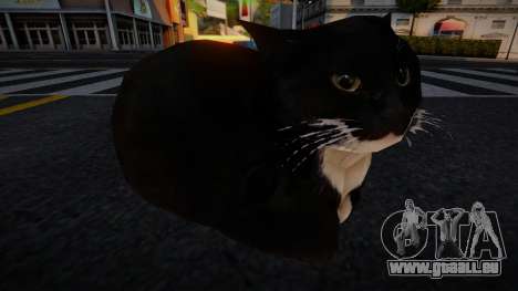 Maxwell The Cat Dingus pour GTA San Andreas