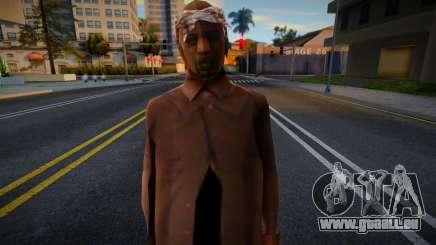 Street Brown Pride 3 pour GTA San Andreas