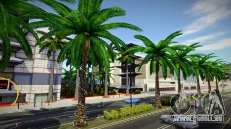 HQ Palms pour GTA San Andreas