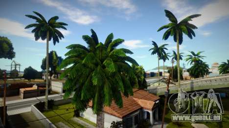 HQ Palms für GTA San Andreas
