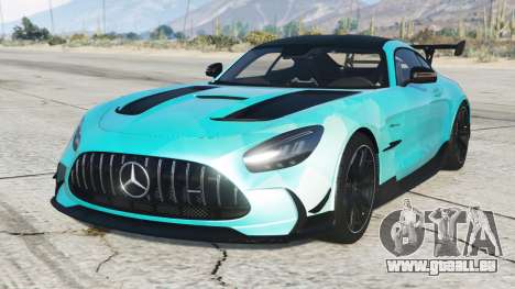 Mercedes-AMG GT Black Series (C190) S9 [Add-On]