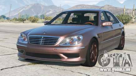Mercedes-Benz S 55 AMG (W220) 2003 [Add-On] pour GTA 5