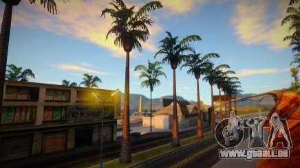 More Palm Trees on Verona Beach Road für GTA San Andreas