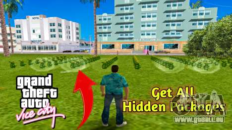 100 Hidden Package Mod pour GTA Vice City