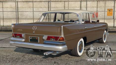 Mercedes-Benz 220 S (W111) Roman Coffee