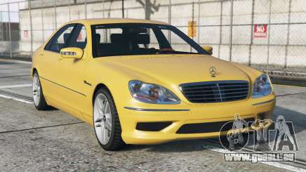 Mercedes-Benz S 55 AMG (W220) Meat Brown [Replace] pour GTA 5