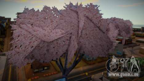 Sakura Tree pour GTA San Andreas