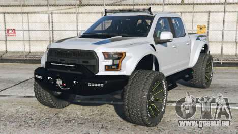 Ford Raptor Custom