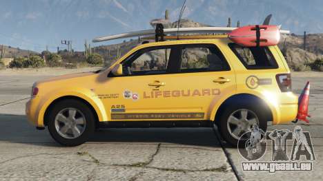 Ford Escape Lifeguard 2012