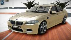 BMW M5 F10 SN V1.2 pour GTA 4