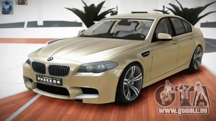 BMW M5 F10 SN V1.2 für GTA 4