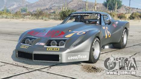 Greenwood Corvette IMSA Racing Coupe (C3) 1976