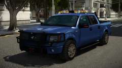 Ford F150 Special pour GTA 4