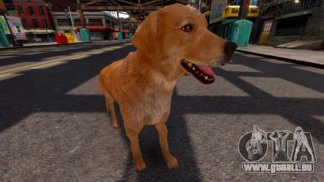 Golden Retriever für GTA 4