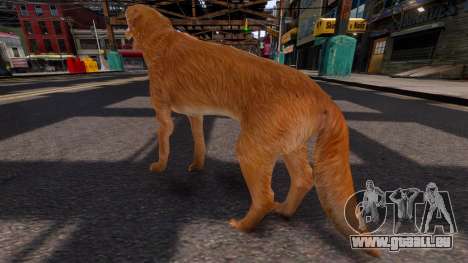 Golden retriever pour GTA 4