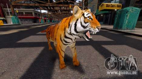 Tiger für GTA 4